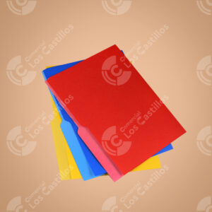 Folder Irasa De Colores X Unidad