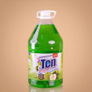 Ten Desinfectante Galón
